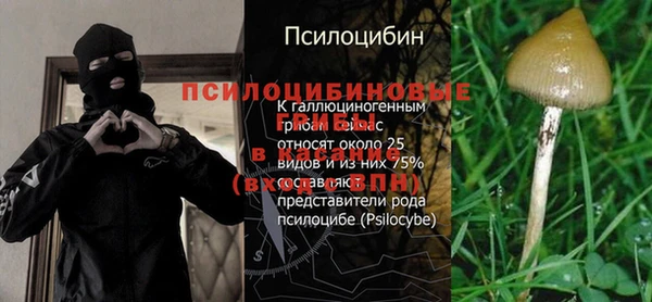 2c-b Нефтегорск